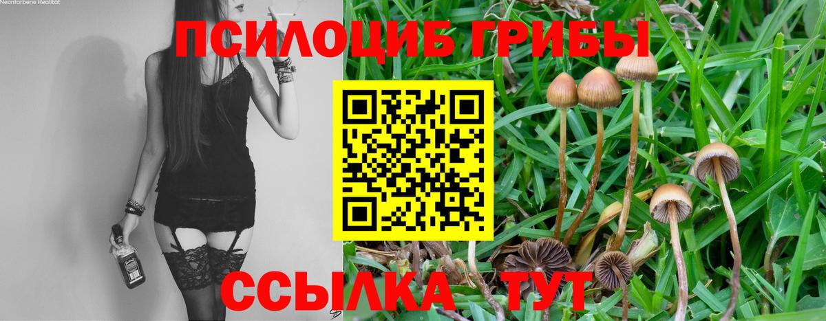 Галлюциногенные грибы Cubensis Белово